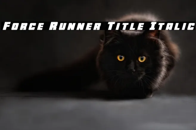 Force Runner Title Italic Example 3