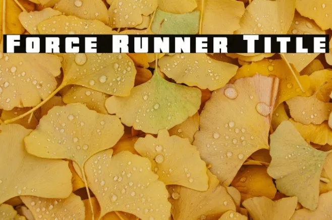 Force Runner Title Example 1