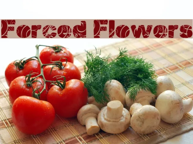 Forced Flowers Example 2