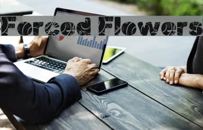 Forced Flowers Example 3