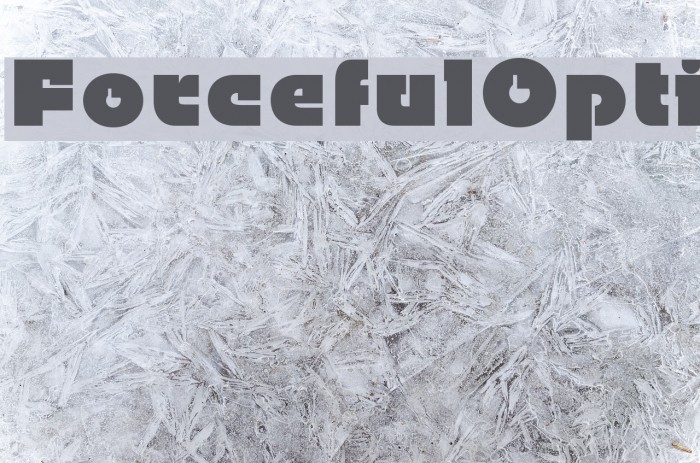 ForcefulOpti Font examples