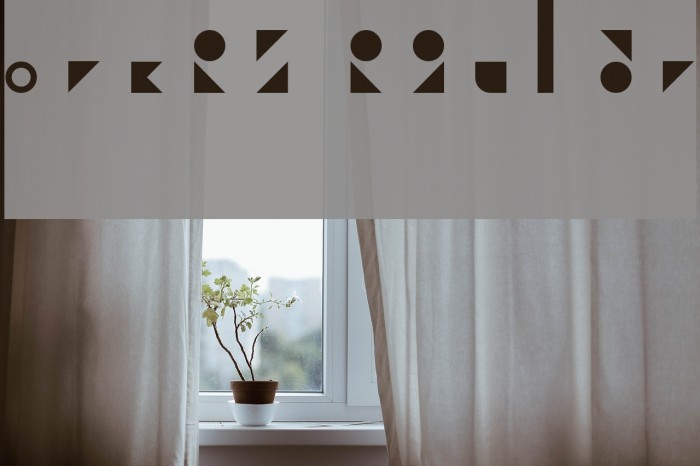 Forces Regular Example 2