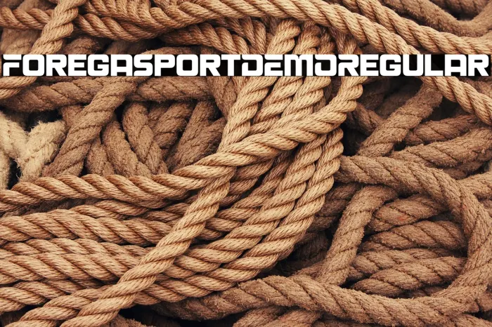 Forega Sport DEMO Regular Example 1