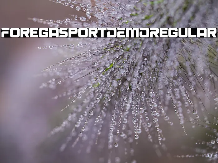 Forega Sport DEMO Regular Example 3
