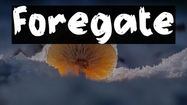 Foregate Example 1