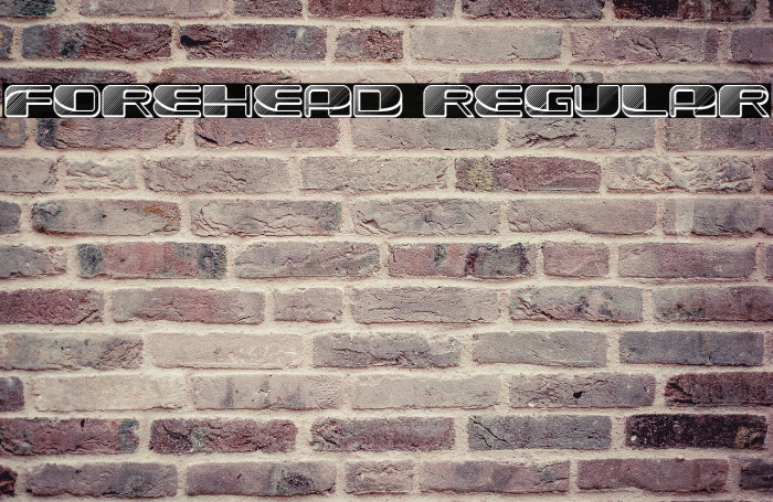 Forehead 1 Regular Example 1