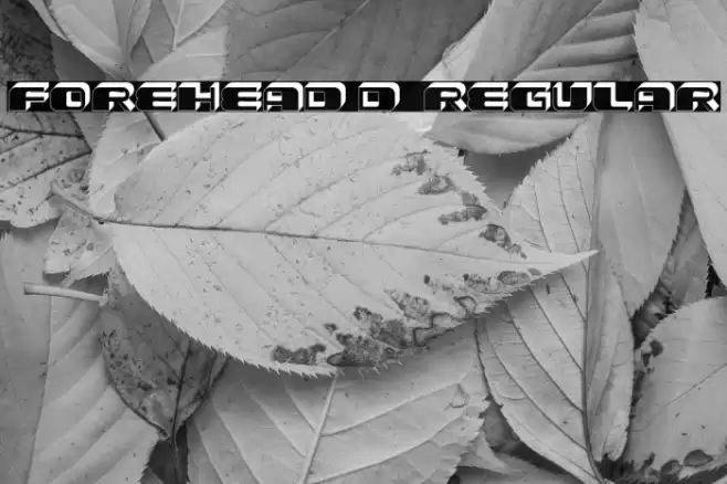 Forehead 3D 1 Regular Font examples