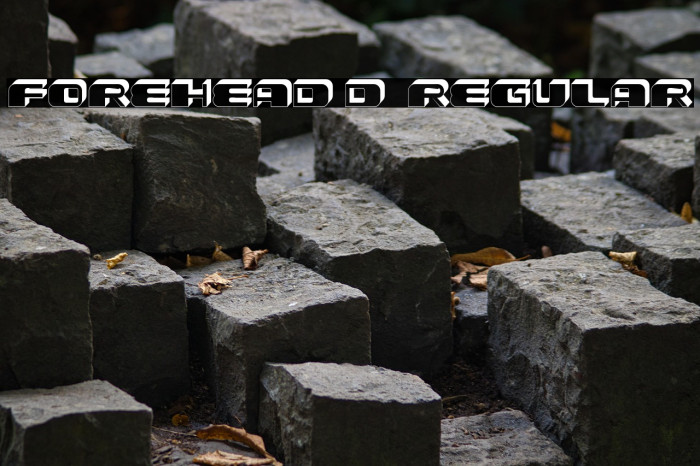 Forehead 3D 1 Regular Example 3