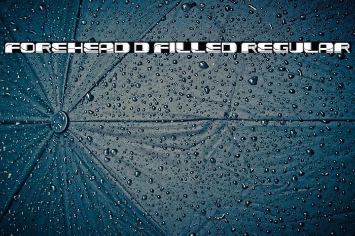 Forehead 3D Filled Regular Example 2