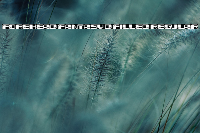 Forehead Fantasy 3D Filled Regular Example 1