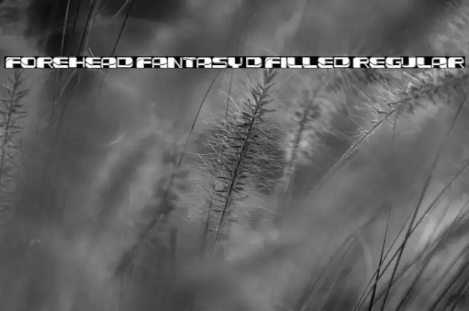 Forehead Fantasy 3D Filled Regular Font examples
