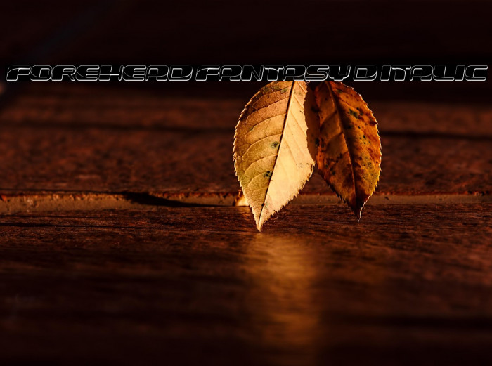 Forehead Fantasy 3D Italic Example 3