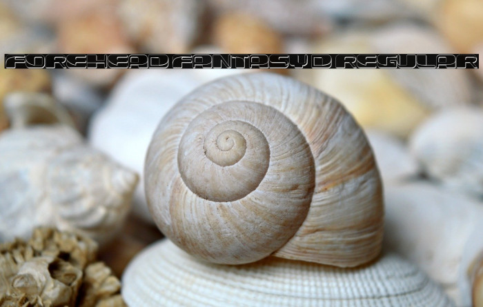 Forehead Fantasy 3D Regular Example 2