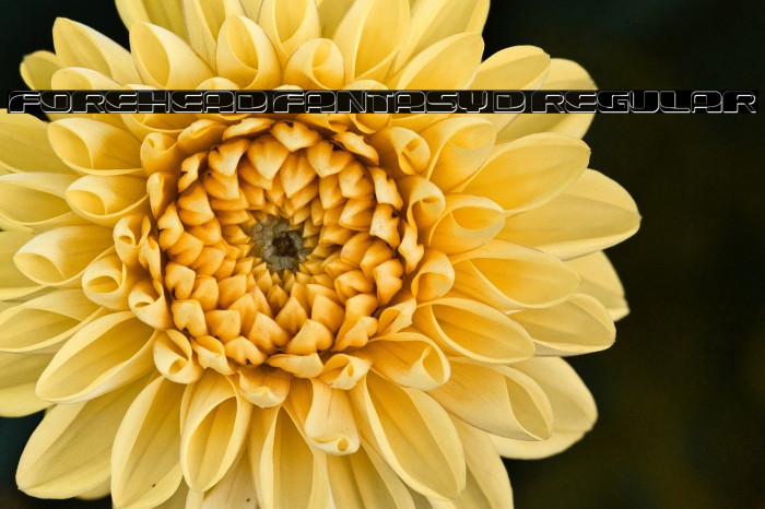 Forehead Fantasy 3D Regular Example 3