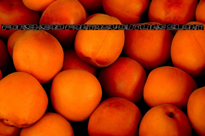 Forehead Fantasy Outline Slant Example 1