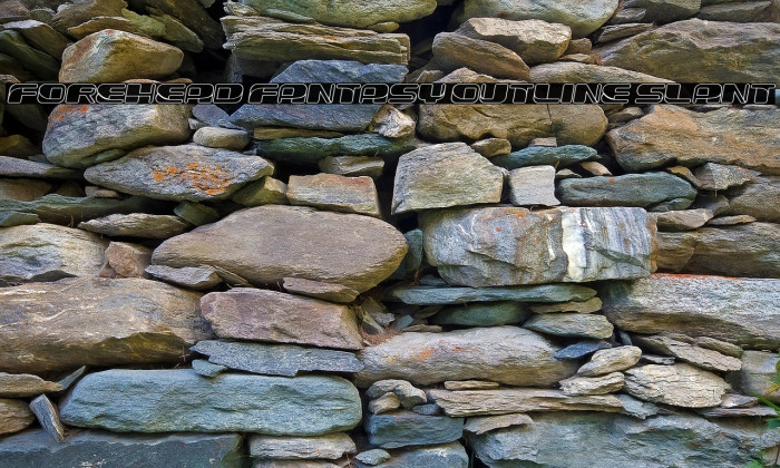 Forehead Fantasy Outline Slant Example 2