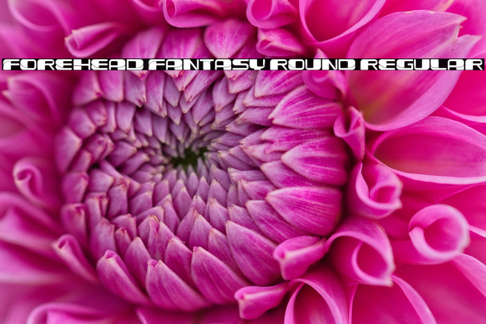 Forehead Fantasy Round Regular Example 3