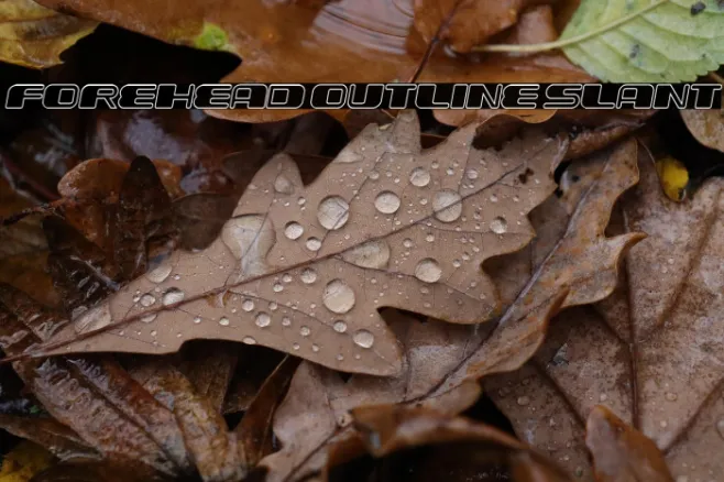 Forehead Outline Slant Example 1