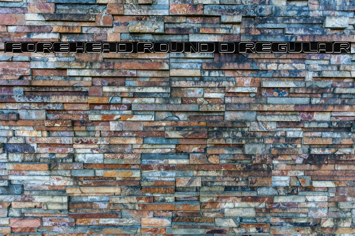 Forehead Round 3D Regular Example 3