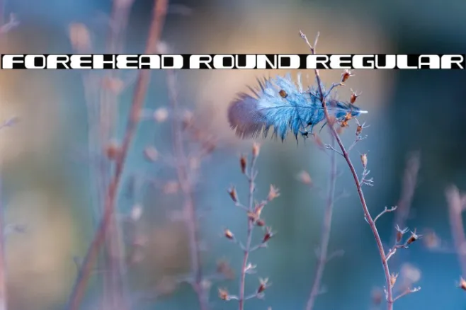 Forehead Round Regular Example 1