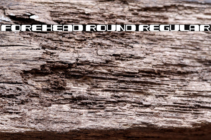 Forehead Round Regular Example 3