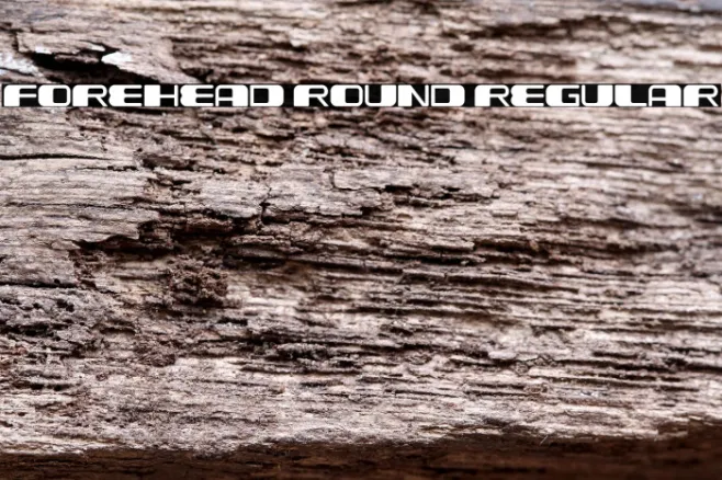 Forehead Round Regular Example 3