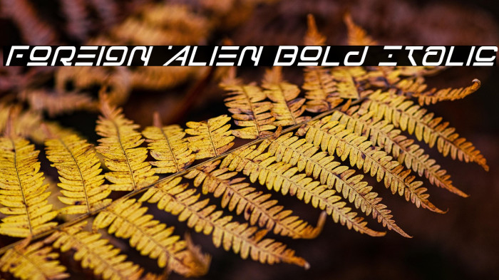 Foreign Alien Bold Italic Example 2