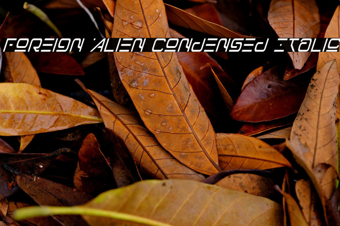 Foreign Alien Condensed Italic Example 1