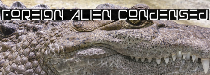 Foreign Alien Condensed Example 1