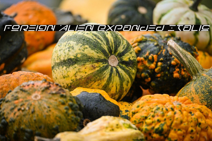 Foreign Alien Expanded Italic Example 2