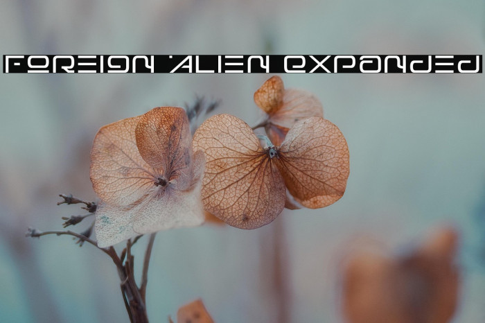 Foreign Alien Expanded Example 2