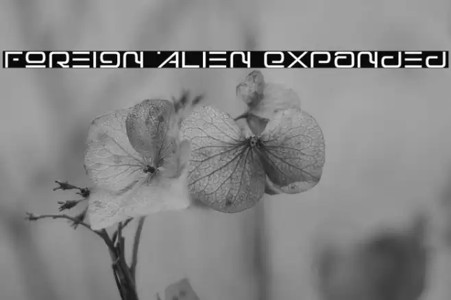 Foreign Alien Expanded Fuentes examples