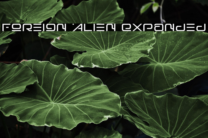 Foreign Alien Expanded Example 3