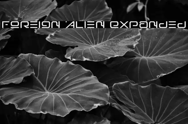 Foreign Alien Expanded Fuentes examples