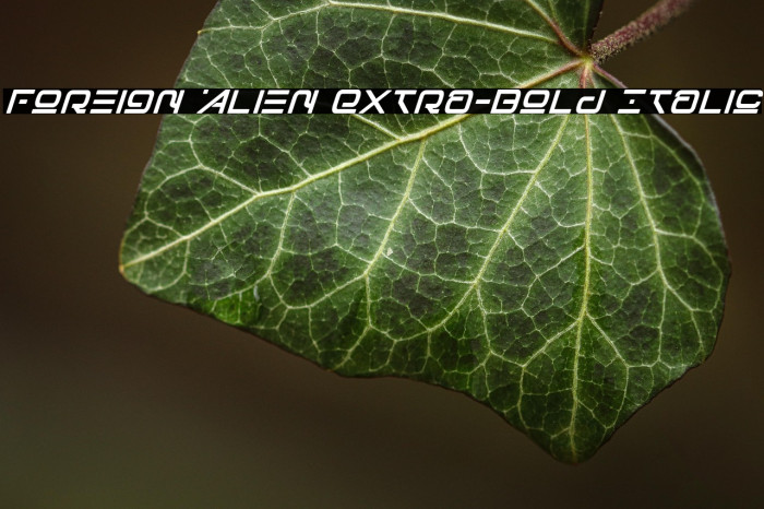 Foreign Alien Extra-Bold Italic Example 2