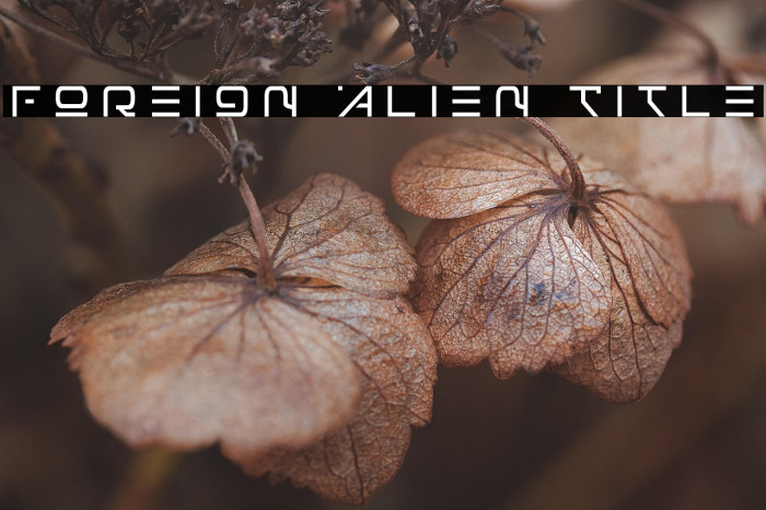 Foreign Alien Title Example 1