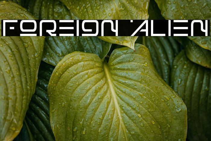 Foreign Alien Example 1