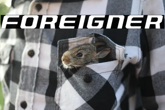 Foreigner Example 2