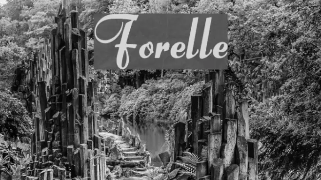 Forelle Font examples