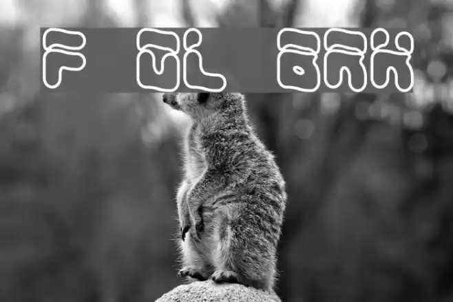 Foreshadow OL BRK Font examples