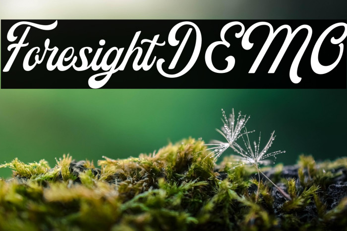 ForesightDEMO Example 3