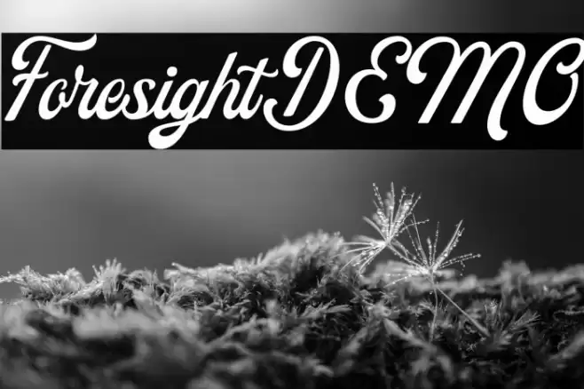 ForesightDEMO Font examples