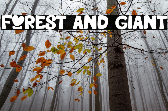 Forest And Giant Example 1