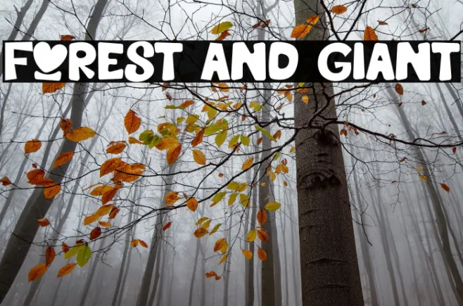 Forest And Giant Example 1