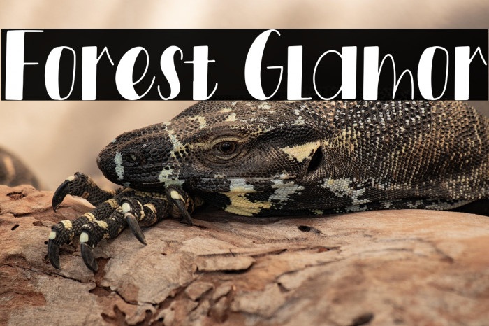 Forest Glamor Example 3