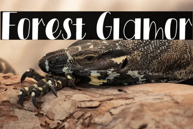 Forest Glamor Example 3