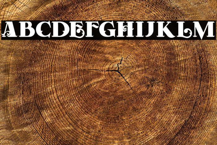 Forest Regular Example 1