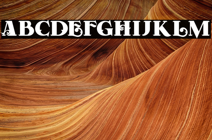 Forest Regular Example 3