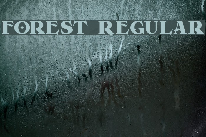 Forest Regular Example 3