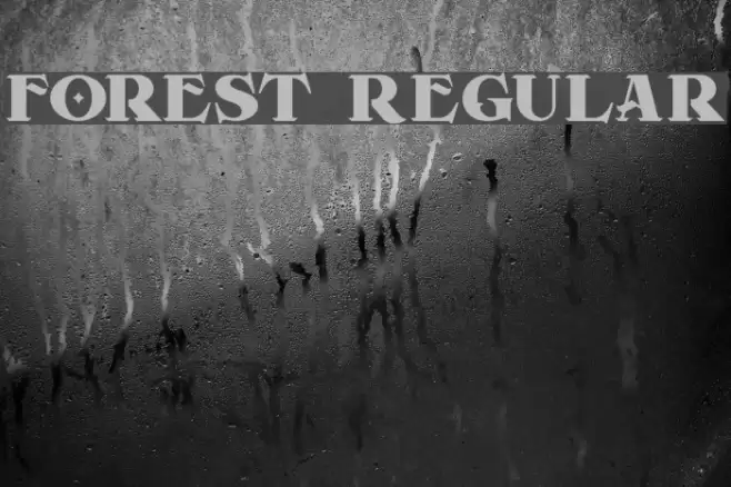 Forest Regular Font examples